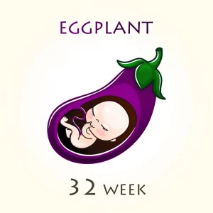 Human fetus inside the uterus and inside an eggplant - week 32 of pregnancy concept